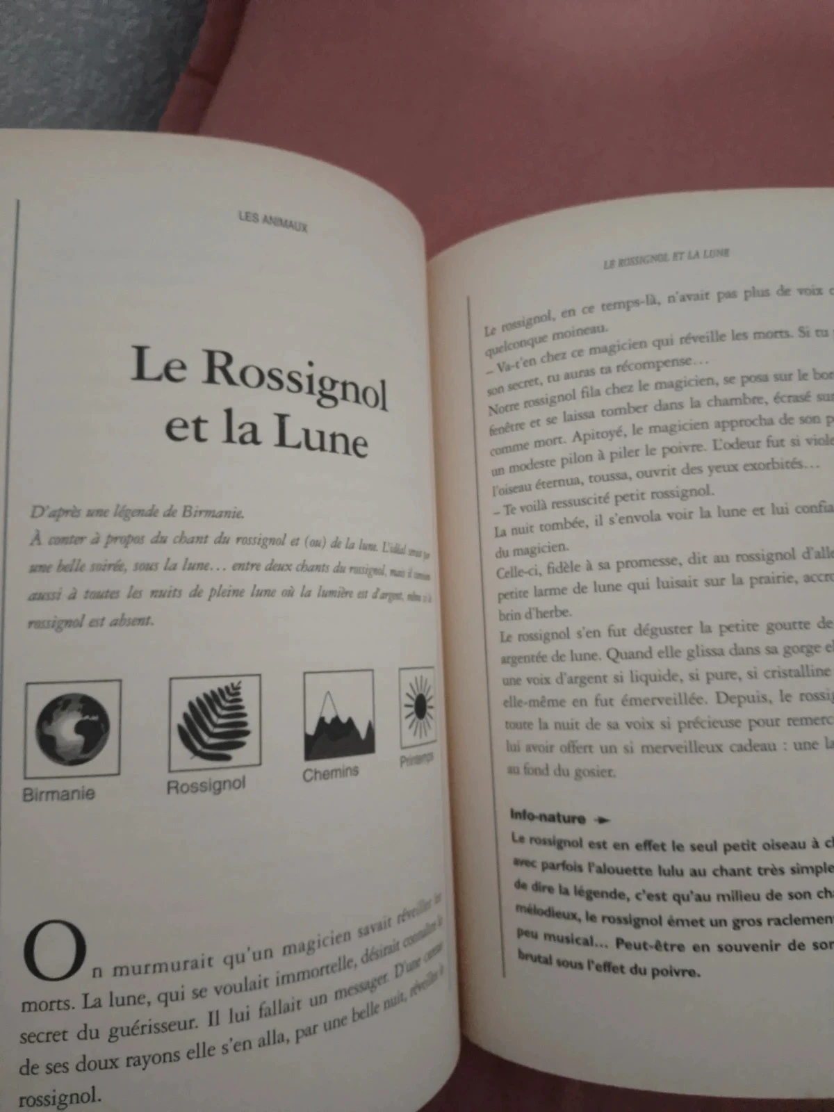 milles ans de contes sur les sentiers – photo 7